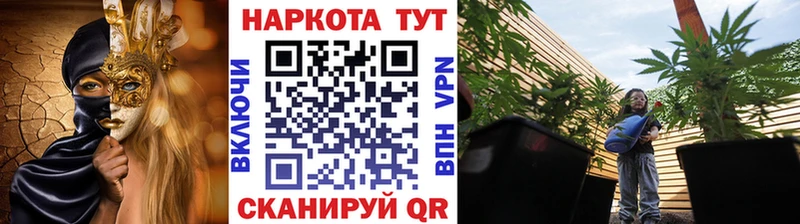 Где купить наркоту Кирсанов ГАШ COCAIN МЕФ mega сайт Конопля