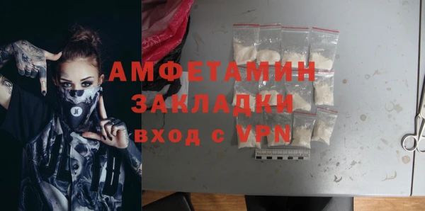 дмт Инта