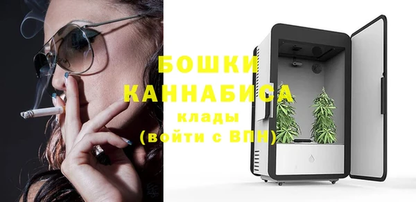 гидра Зеленокумск