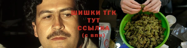 гидропоника Зеленодольск