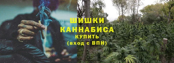 гидра Зеленокумск