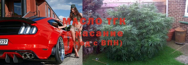 дмт Инта
