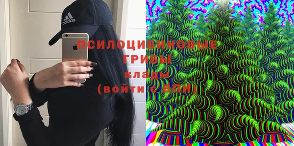 гидропоника Зеленодольск