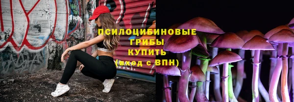 дмт Инта