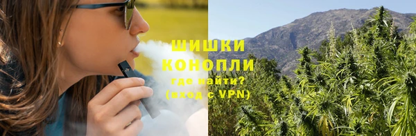 спиды Инсар
