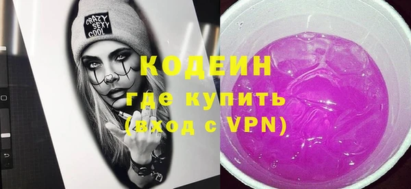дмт Инта