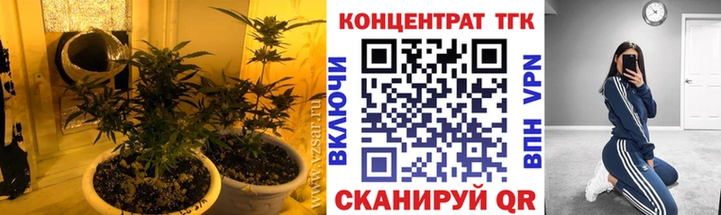 ОМГ ОМГ tor  Кирсанов  ТГК жижа 